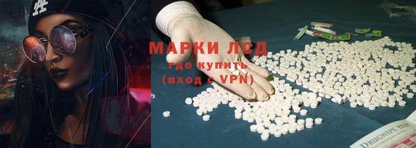 ГАЛЛЮЦИНОГЕННЫЕ ГРИБЫ Алзамай