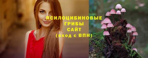 синтетический гашиш Алексеевка