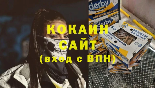 дурь Гусиноозёрск