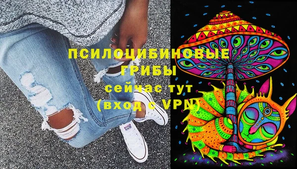 МДПВ Абаза