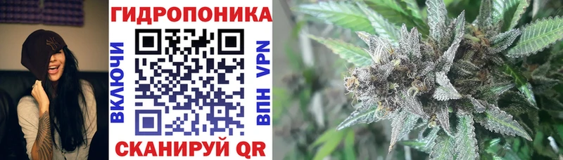 где найти наркотики  Мирный  Бошки Шишки Amnesia 